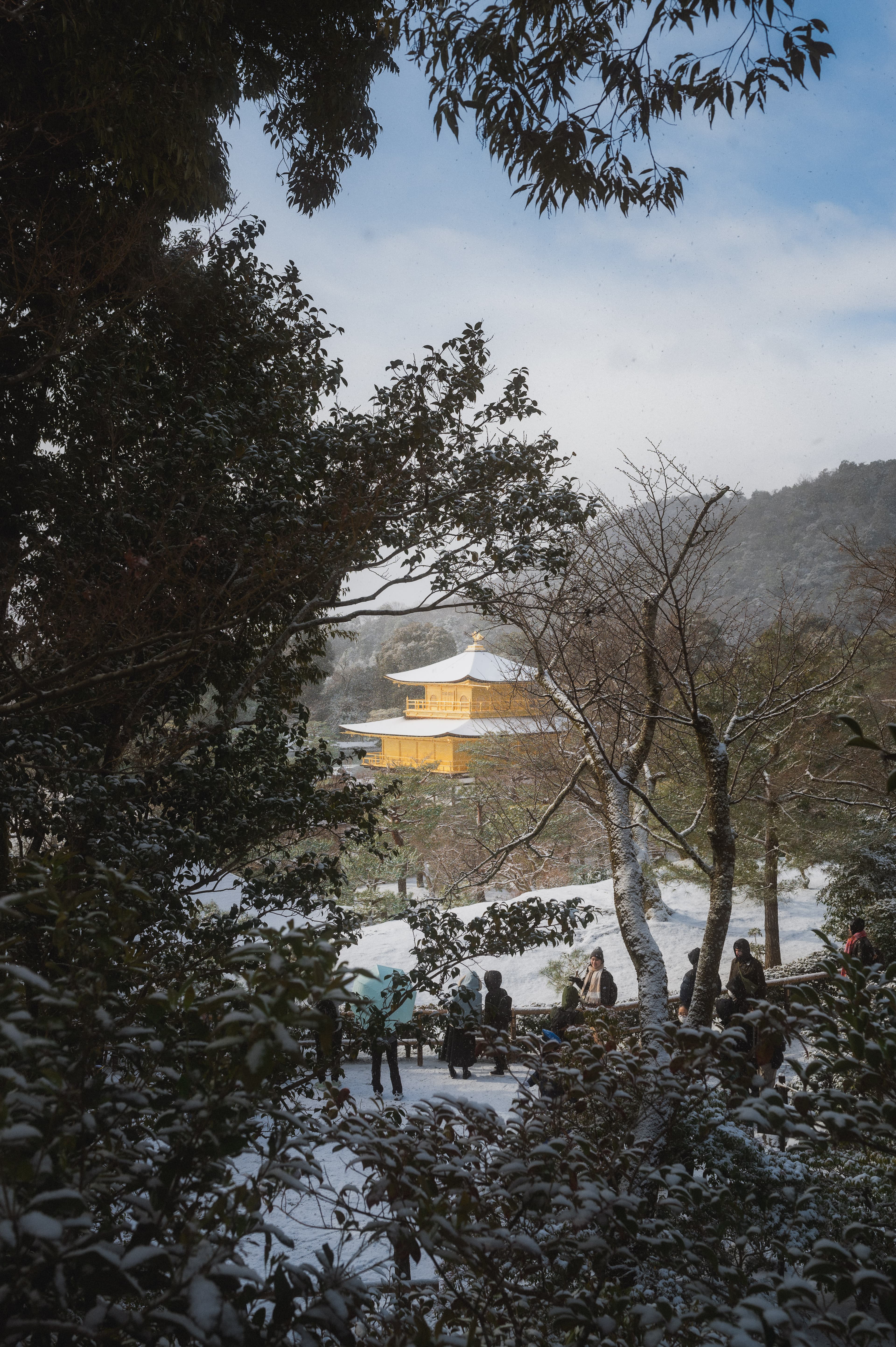 20250109-DSC 2653-2-Edit