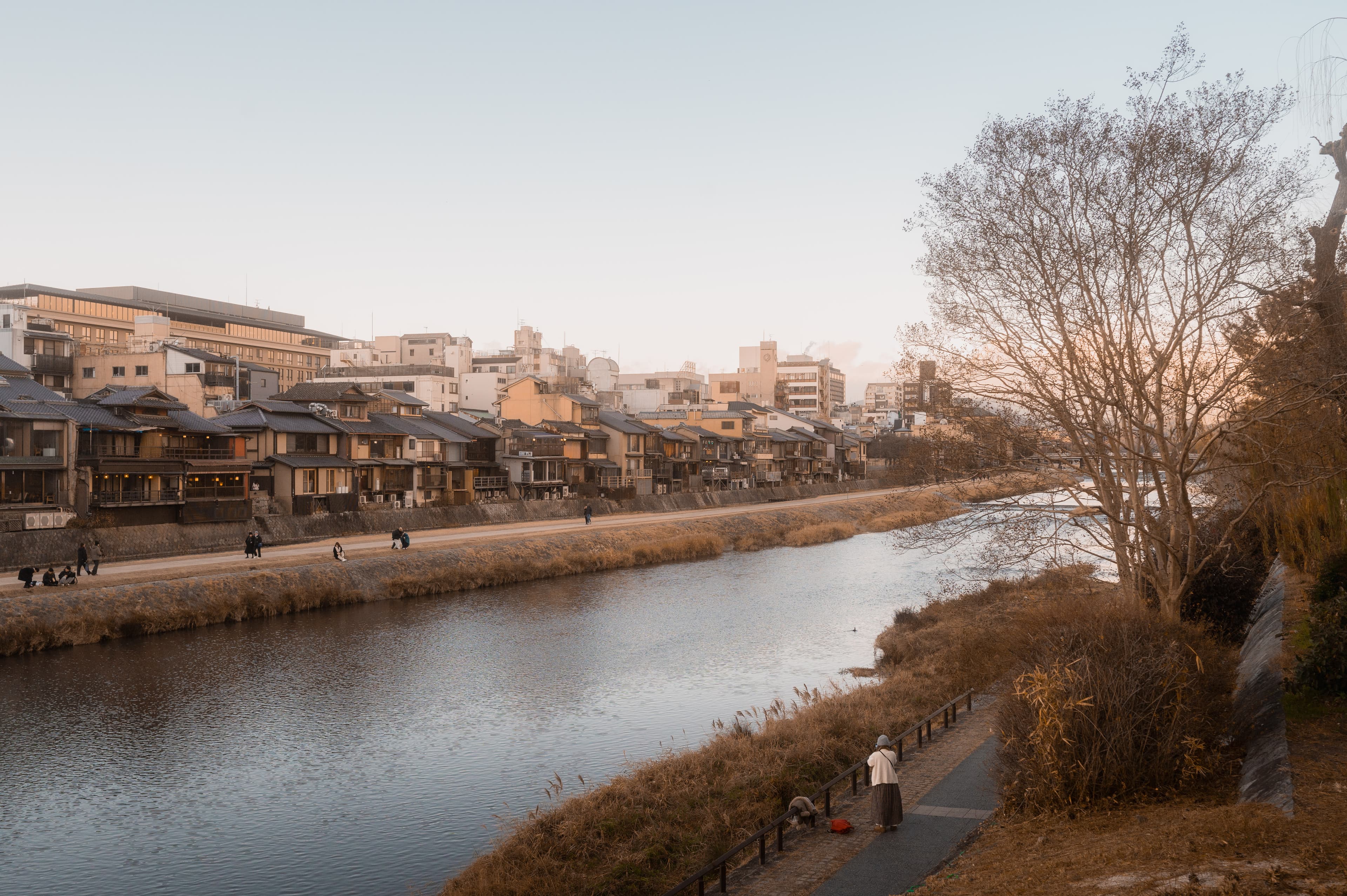 20250110-DSC 2676-2